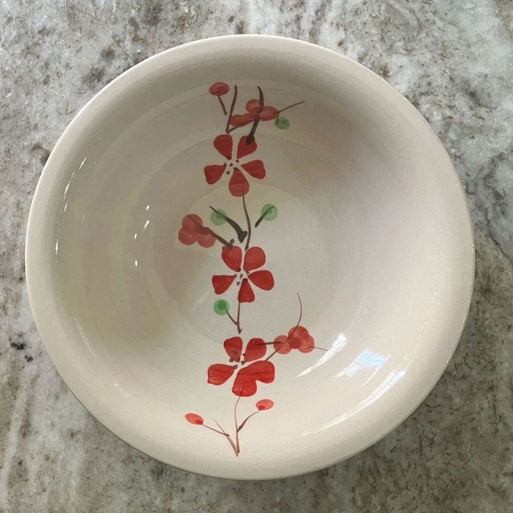 Coupe Cereal Bowl PER180 by PIER 1 Set Of 4